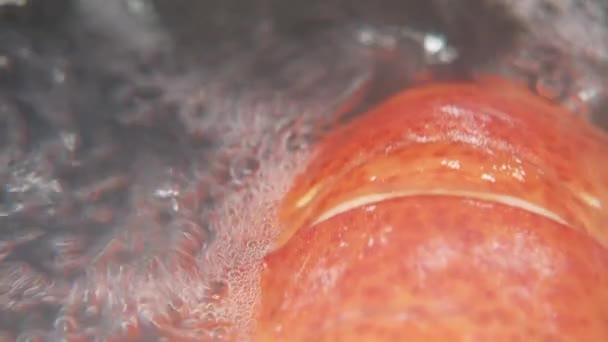 被煮熟的龙虾 — 图库视频影像