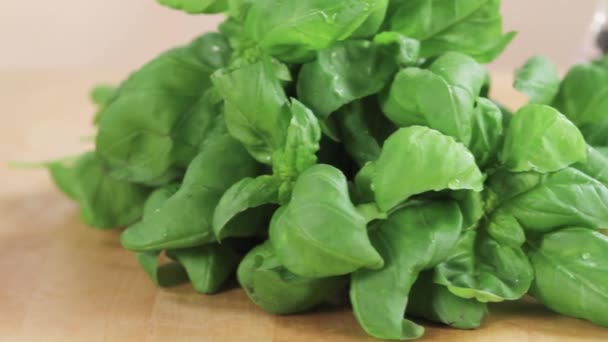 Ingredients for pesto on cutting board — Stock Video