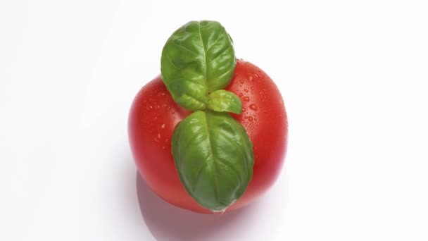 Rotating tomato with basil leaves — Stock Video