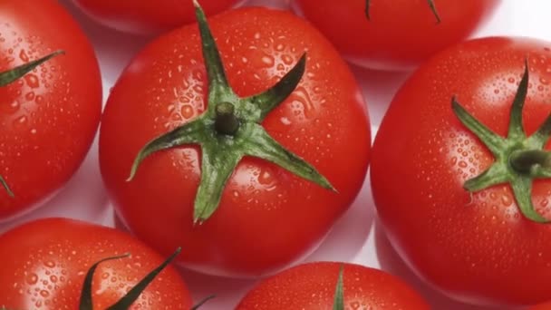 Tomates giratorios sobre fondo blanco — Vídeo de stock