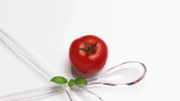 Insalatiere con un pomodoro — Video Stock