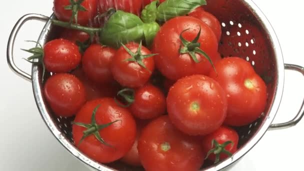 Lavagem de tomates na peneira — Vídeo de Stock