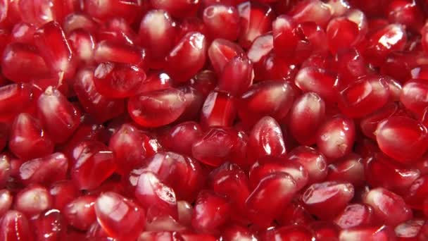 Juicy pomegranate seeds — Stock Video