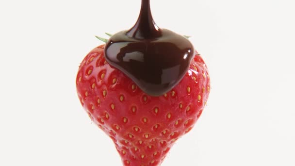 Salsa di cioccolato sopra una fragola — Video Stock