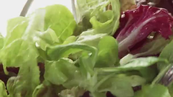 Atirando folhas de salada mistas — Vídeo de Stock