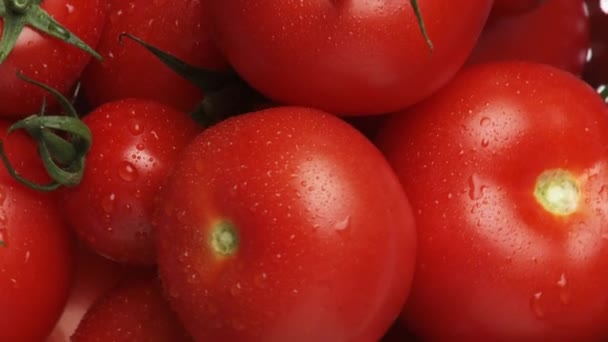 Tomaten in einem Metallsieb — Stockvideo