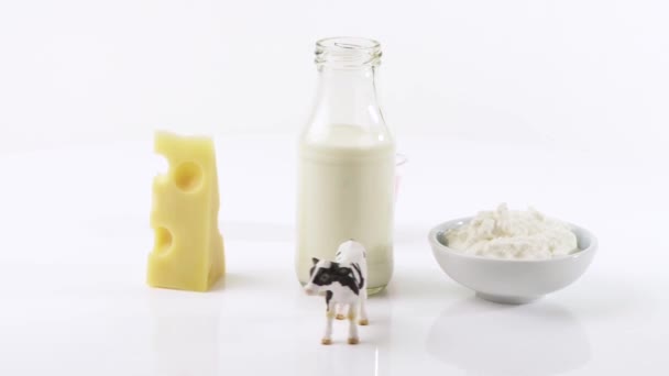 Cottage cheese & milk — Stock Video