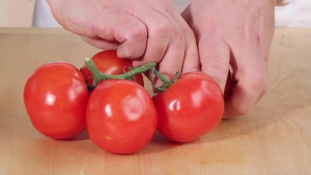 Removendo o tomate da videira — Vídeo de Stock