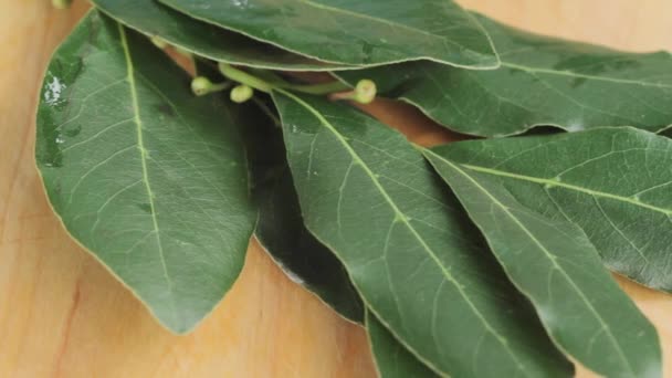 Fresh bay leaves on table — Stock Video