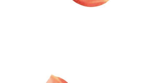Два томатных клинка — стоковое видео