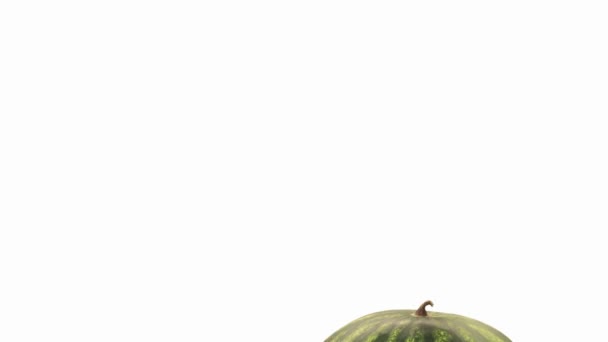 Целый кусок арбуза — стоковое видео