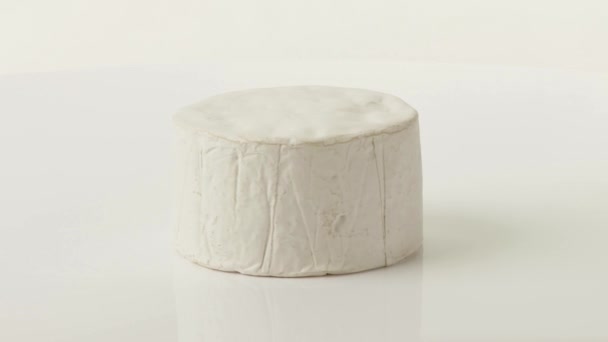 Camembert on white background — Stock Video