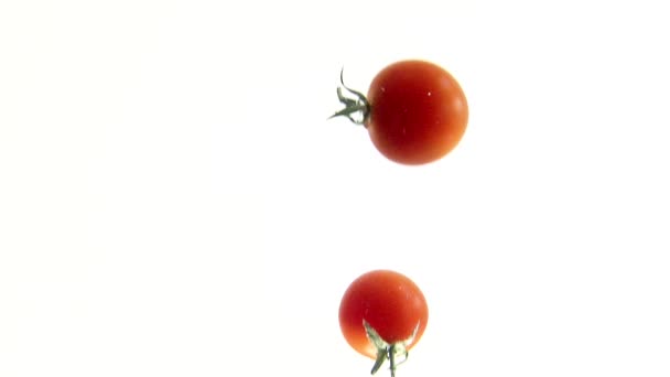 Tomaten vallen in water — Stockvideo