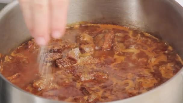 Sazonador de gulash de carne — Vídeo de stock