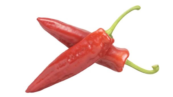 Chilli papričky na bílém pozadí — Stock video