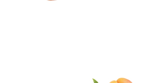 Четыре абрикоса с листьями — стоковое видео
