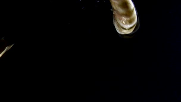 Хвости креветки у воді — стокове відео