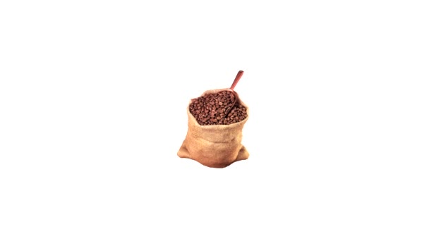 Coffee beans with scoop in a sack — Stock Video