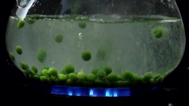 Erwten wordt gekookt in water — Stockvideo