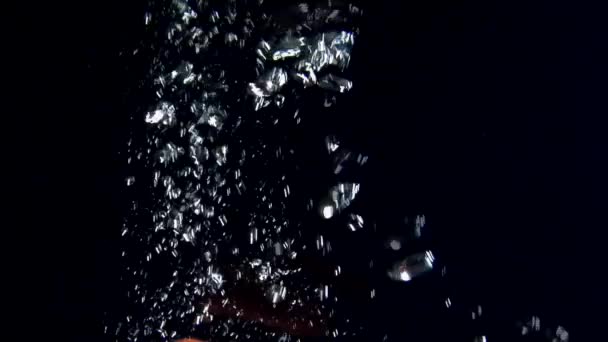 당근 물에 떨어지는 — 비디오