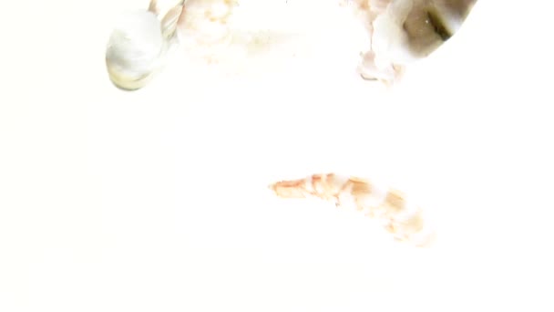 Prawn tails floating in water — Stock Video