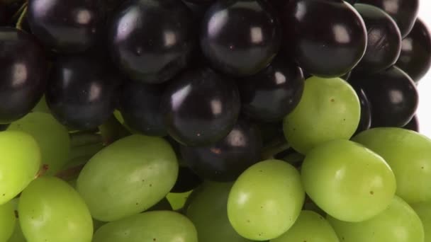 Uvas rojas y verdes sobre fondo blanco — Vídeo de stock