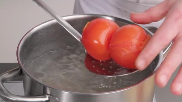 Remoção de tomates da água — Vídeo de Stock