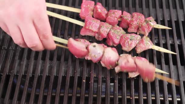 Marinerade lammet kebab — Stockvideo