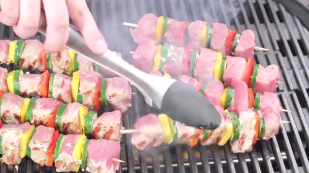 Meat and vegetable kebabs — Stock Video