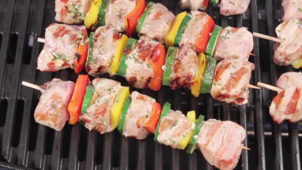 Kebab worden geborsteld met marinade — Stockvideo