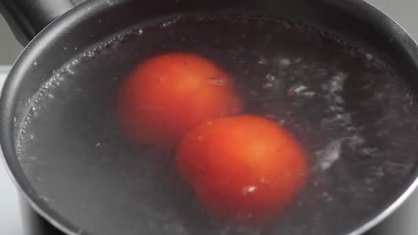 Tomates retirados del agua — Vídeos de Stock