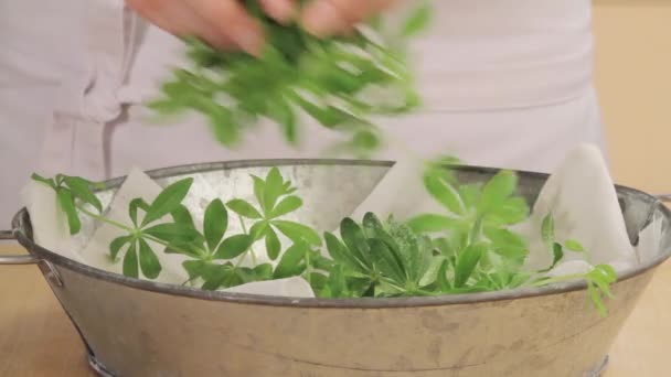 Woodruff removed from a bowl — Stock Video