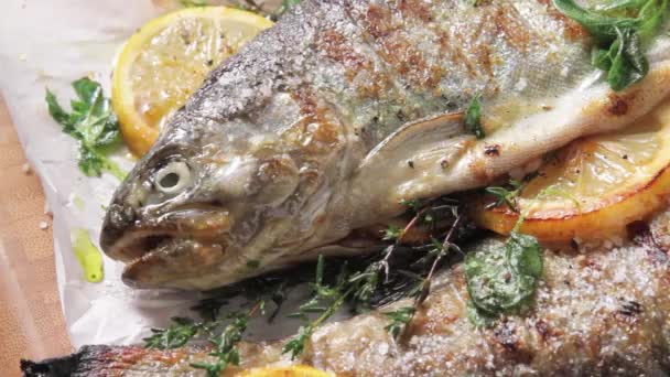 Grillad trouts med citron — Stockvideo