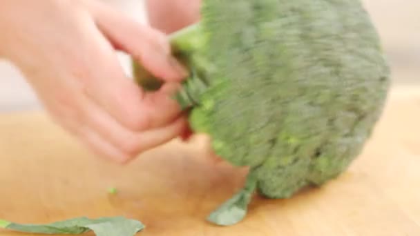 Broccoli roosjes scheiden — Stockvideo