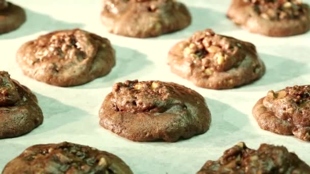 Galletas de chocolate horneadas en el horno — Vídeo de stock