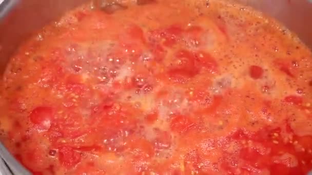 Sauce simmering in a frying pan — Stock Video