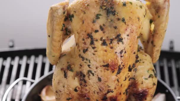 Pollo alle erbe grigliato — Video Stock