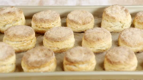 Biscoitos de leitelho assados — Vídeo de Stock