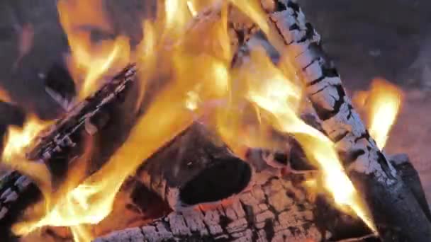 Пожар в лагере ночью — стоковое видео
