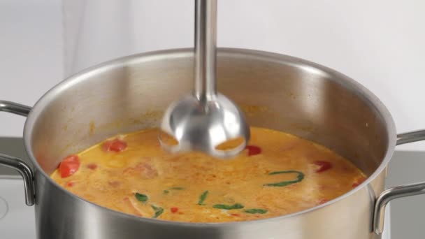 Πολτοποίηση ντοματόσουπα με ένα μπλέντερ χέρι — Αρχείο Βίντεο