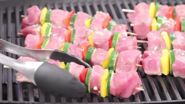 Meat and vegetable kebabs — Stock Video