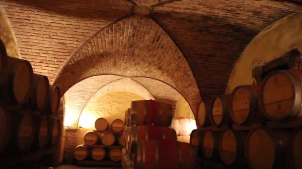 Barils dans une cave à vin — Video