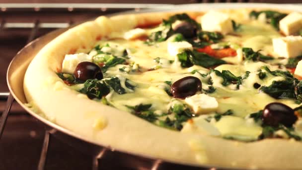 La pizza de olivo en el horno — Vídeos de Stock