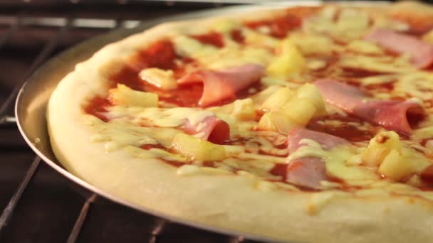 Une pizza hawaïenne dans un four — Video
