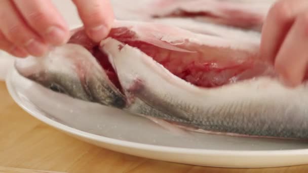 Condimento y limpieza de pescado con sal — Vídeos de Stock
