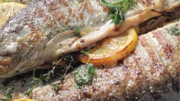 Grilled trout with lemon — Stock Video