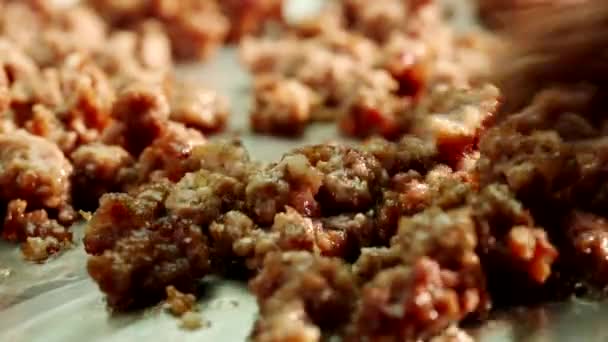 М'ясо фаршу смажать — стокове відео
