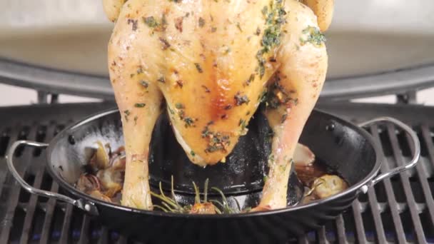 Poulet aux herbes grillé — Video