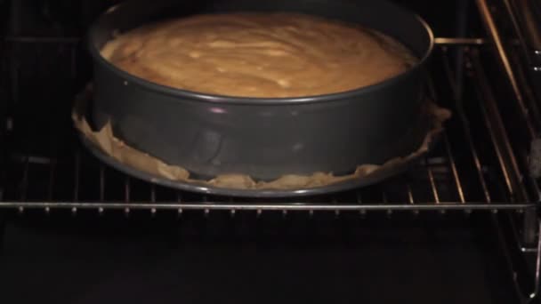 Torta in fase di test — Video Stock