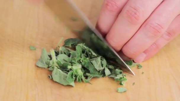 Chopping oregano leaves — Stock Video